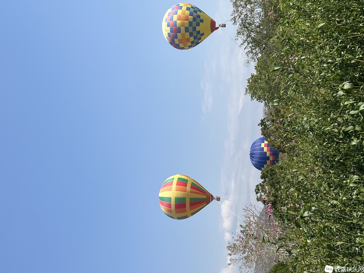 IMG_1893.jpeg