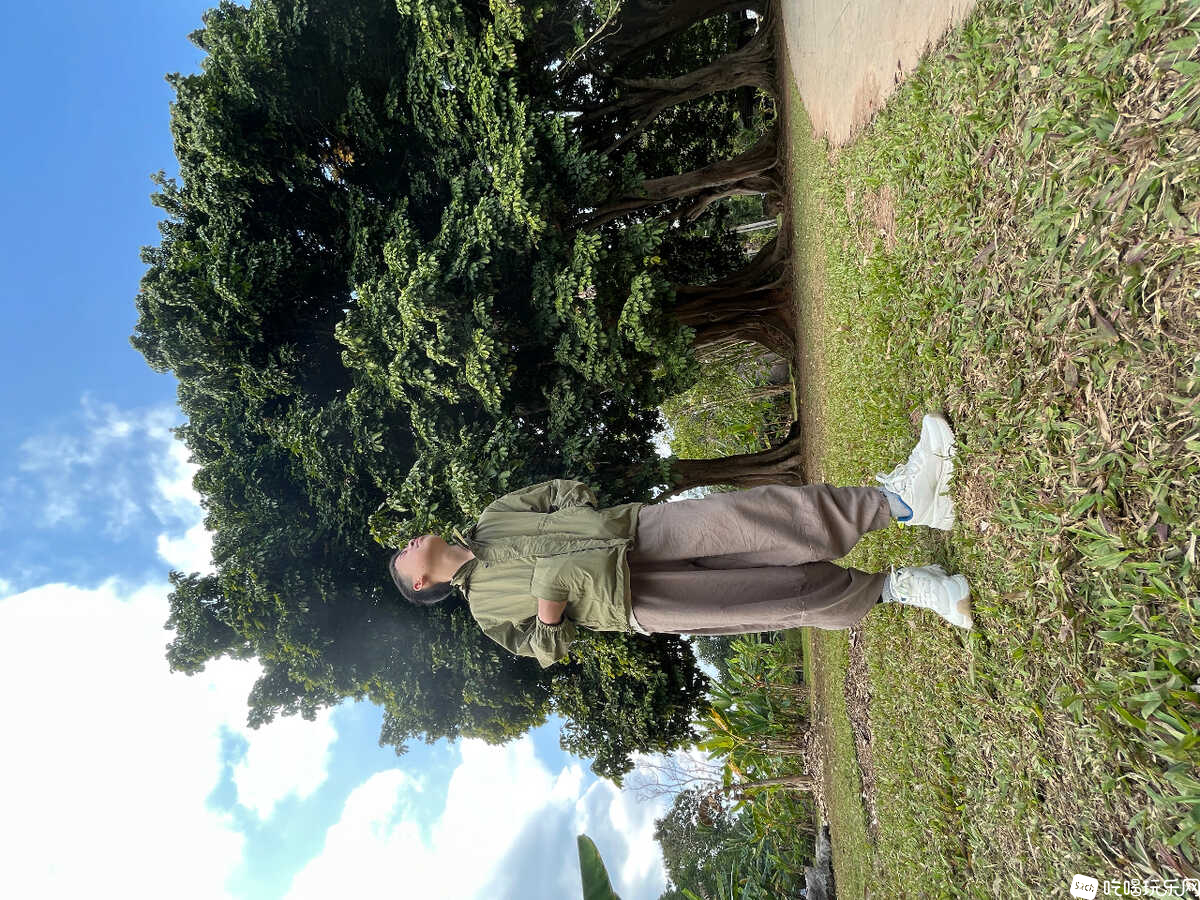 82C3BEED-DB39-49A3-B400-A3DF55032879.jpeg