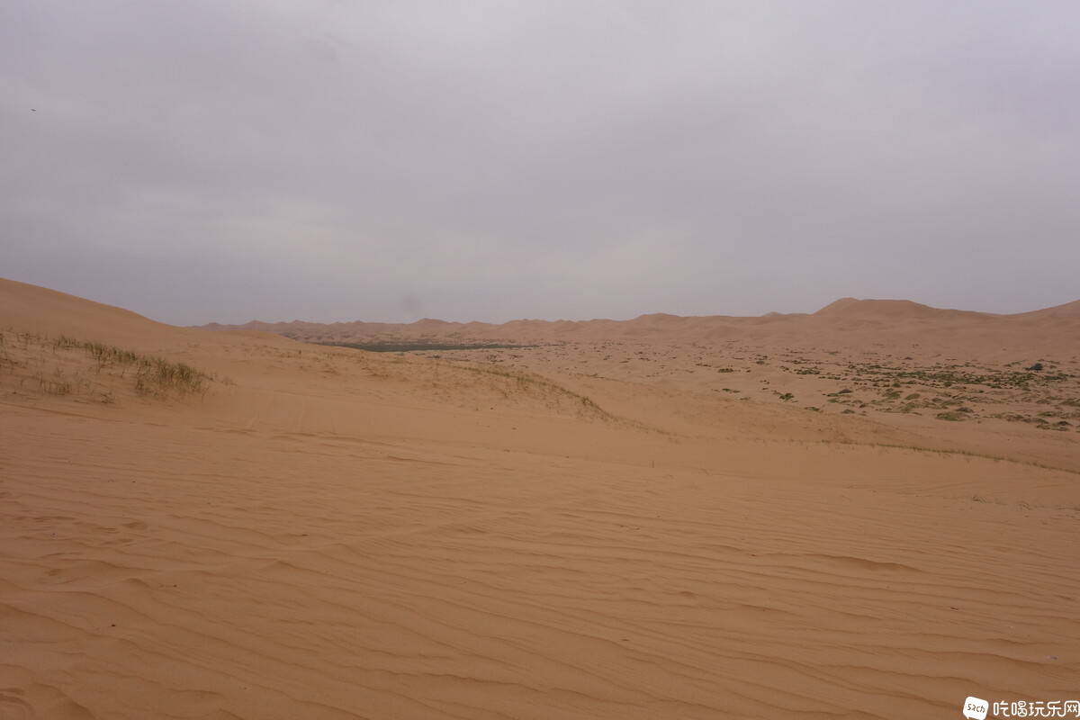 DSC02119.JPG